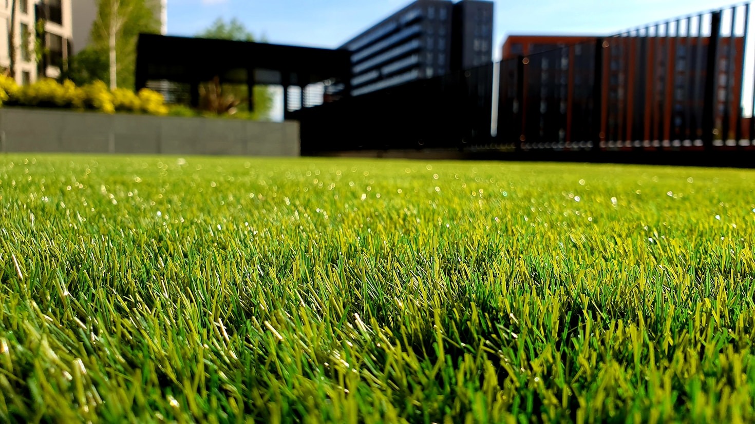 How to Maintain a Green Lawn Year-Round