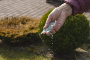 spring fertilizing