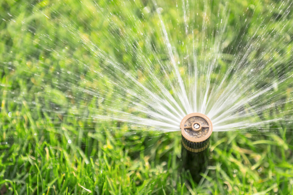 watering lawn with irrigation