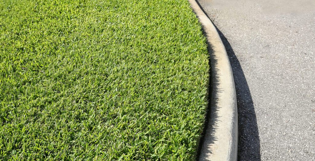 bermuda grass lawn, st. augustine grass lawn