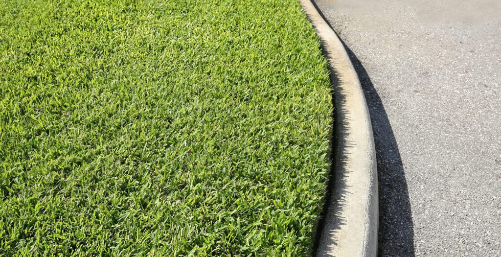 bermuda grass lawn, st. augustine grass lawn