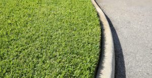 bermuda grass lawn, st. augustine grass lawn