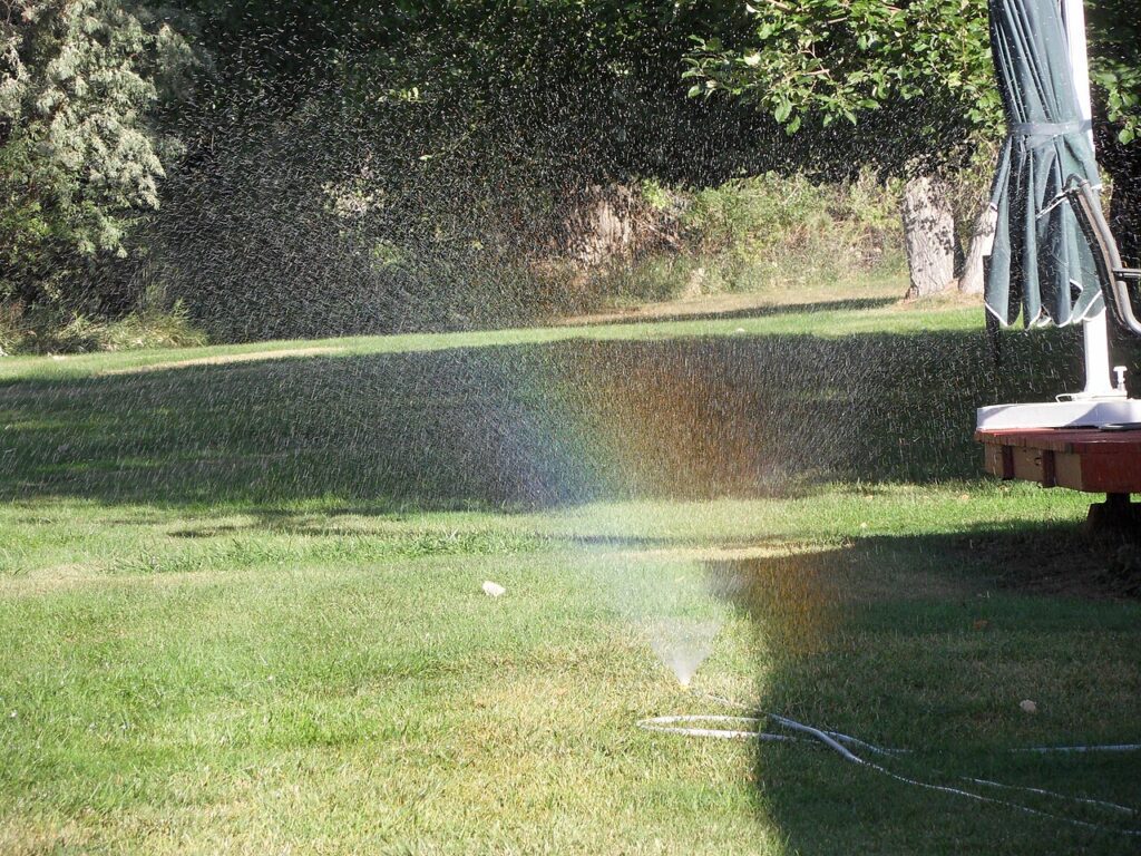 kentucky bluegrass lawn