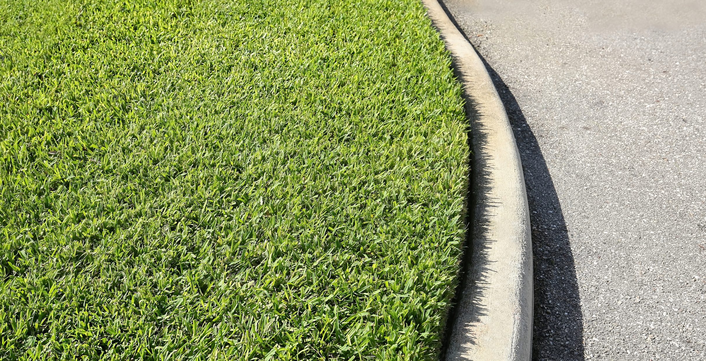 bermuda grass lawn, st. augustine grass lawn