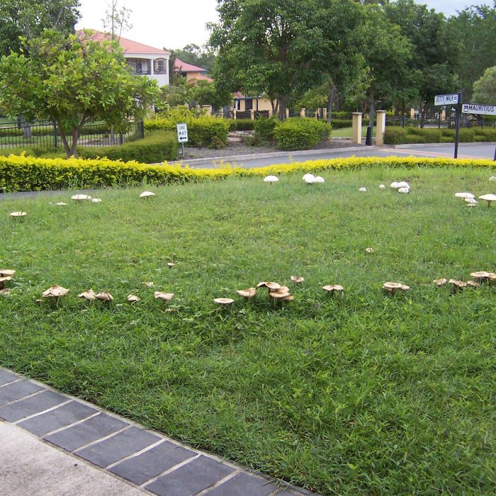 Modified image, watermark removed: '07/01/2008'