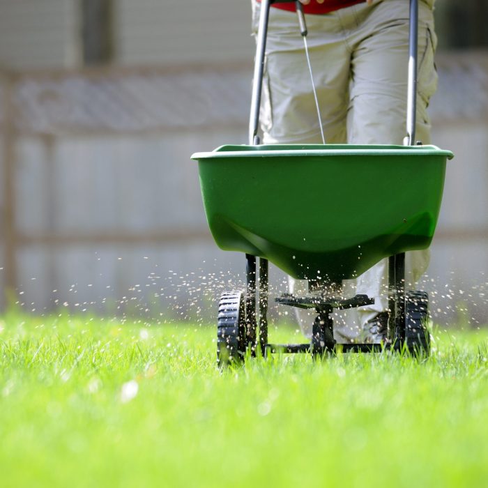fertilizer on a lawn