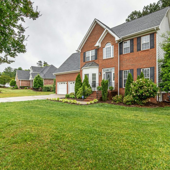 green lawn grass