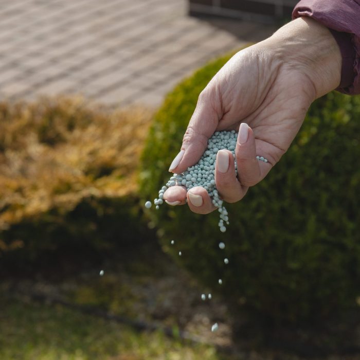 spring fertilizing